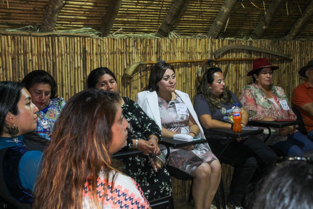 Mujeres Emprendedoras se Reunieron en Gran Encuentro Intergeneracional en Nueva Imperial