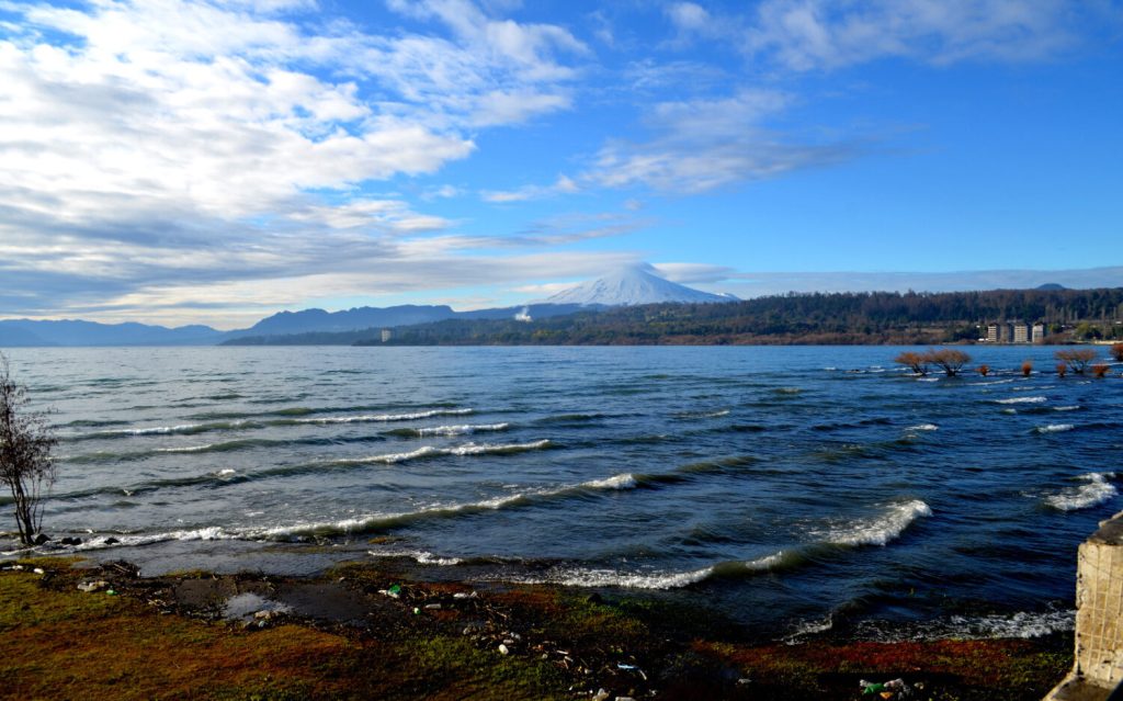 Lago Villarrica Seguirá Contaminado: Actual Gobierno Detiene Avance del Plan de Descontaminación de la Cuenca